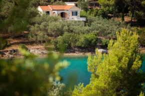 Seaside holiday house Cove Gabrica, Korcula - 17195